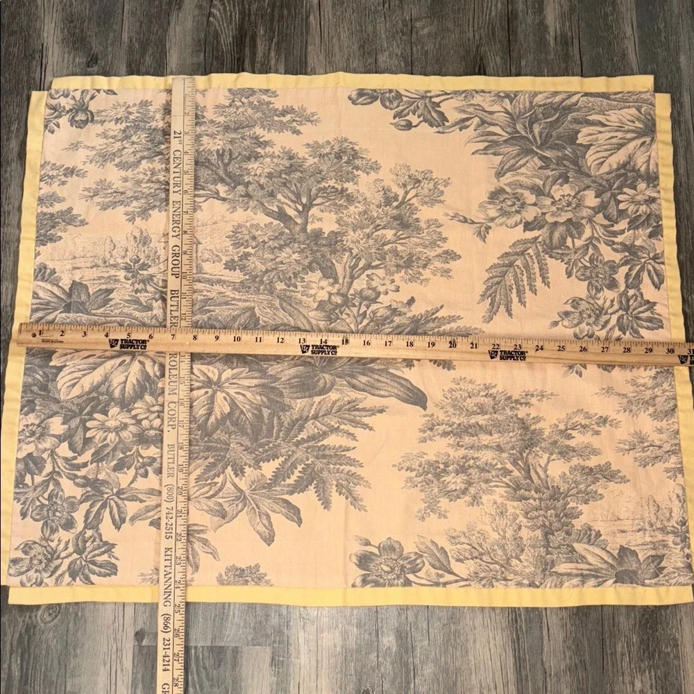 Pottery Barn Floral set of Two Euro Shams - Matine Toile pattern- discontinued